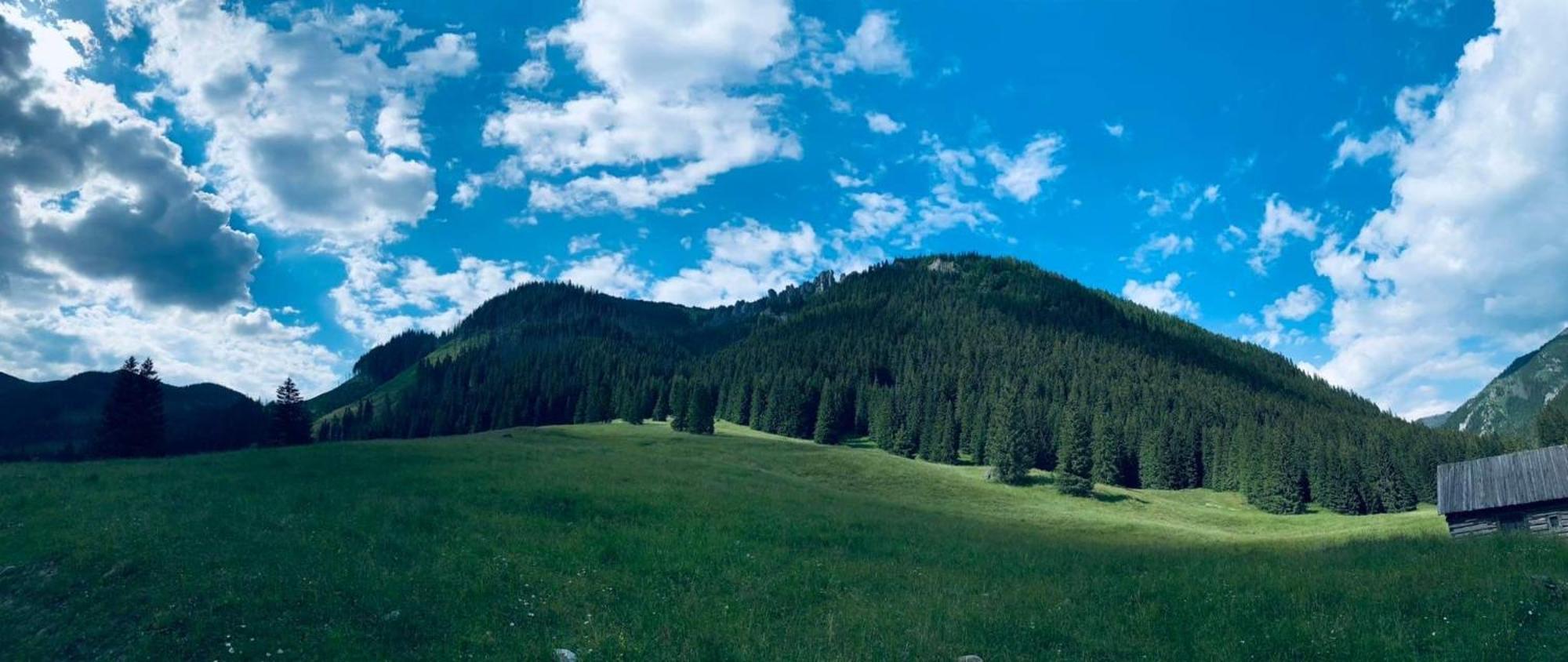 Goralska Chatka Koscielisko Bagian luar foto